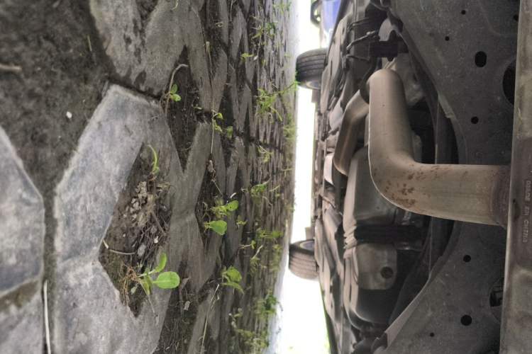 Used Cadillac XT4 2021 28T Two-Wheel Drive Luxury Version Chassis Rear