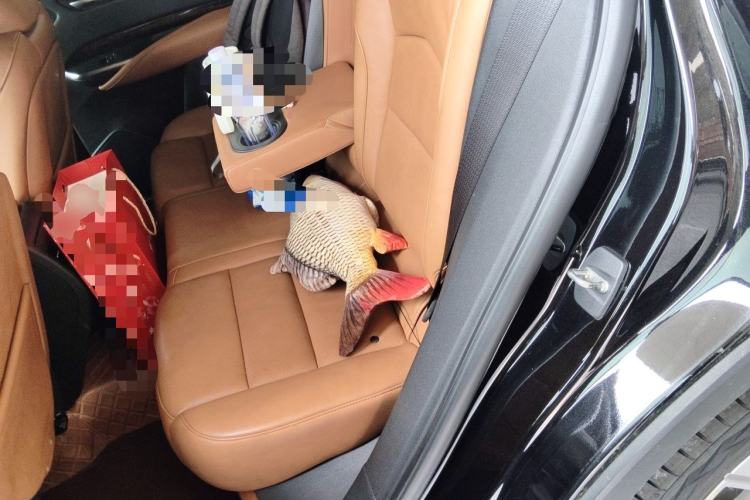Used Cadillac XT4 2021 28T Four-Wheel Drive Platinum Edition Left Rear Seat
