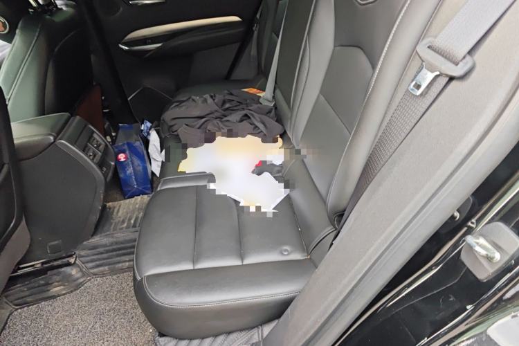 Used Cadillac XT4 2021 28T Two-Wheel Drive Leading Version Left Rear Seat
