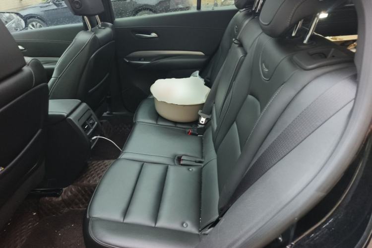 Used Cadillac XT4 2021 28T Two-Wheel Drive Luxury Version Left Rear Seat