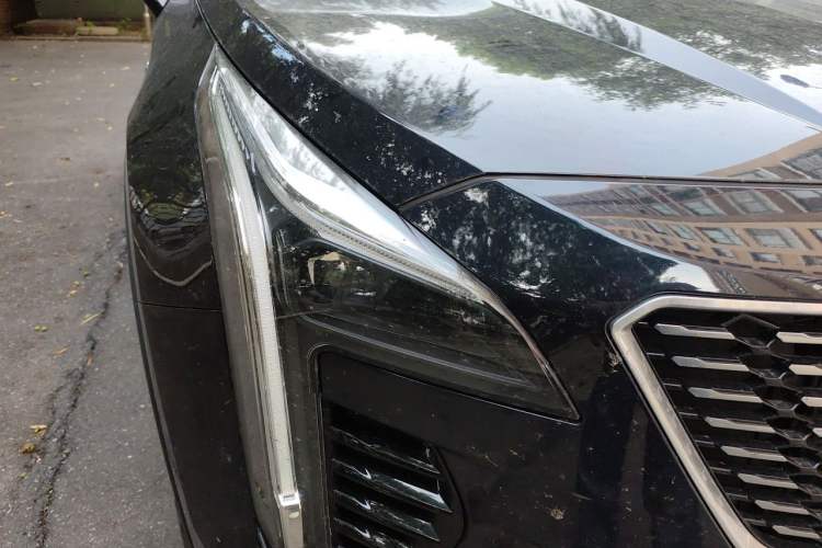 Used Cadillac XT4 2021 28T Two-Wheel Drive Leading Version Right Front Headlight