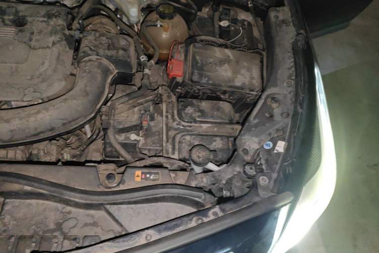 Used Cadillac XT4 2021 28T Two-Wheel Drive Leading Version Engine Bay Left
