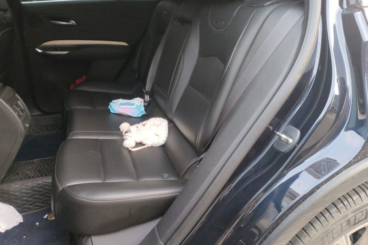 Used Cadillac XT4 2021 28T Two-Wheel Drive Leading Version Left Rear Seat