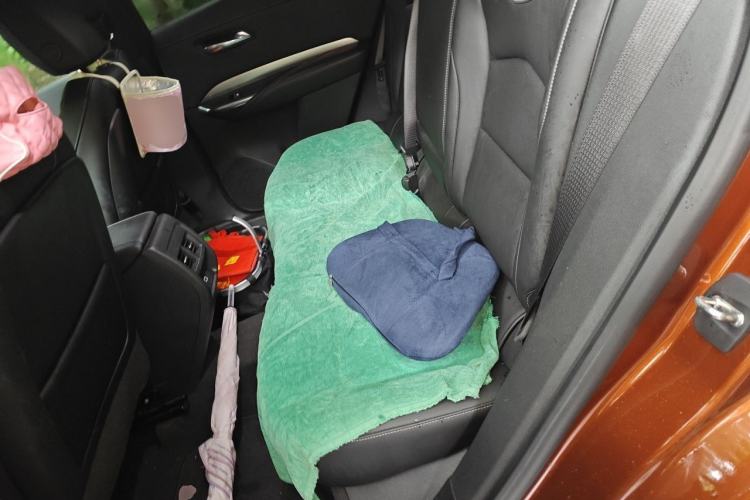 Used Cadillac XT4 2021 28T Two-Wheel Drive Luxury Version Left Rear Seat