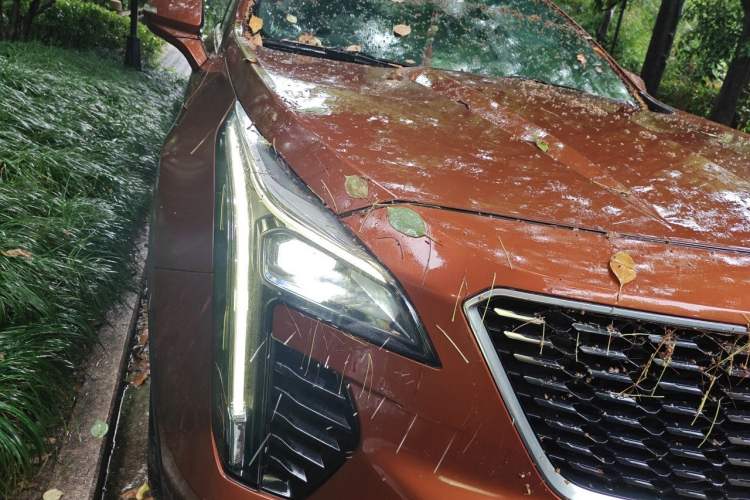 Used Cadillac XT4 2021 28T Two-Wheel Drive Luxury Version Right Front Headlight