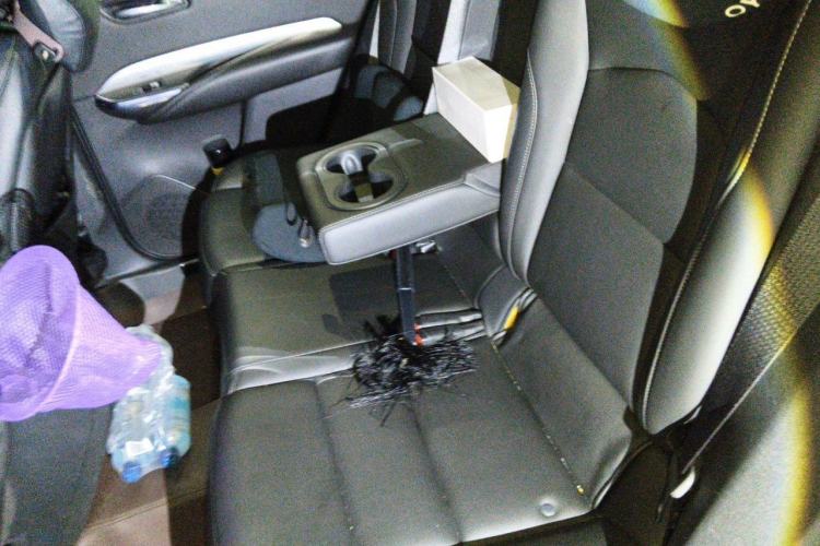 Used Cadillac XT4 2021 28T Two-Wheel Drive Luxury Version Left Rear Seat