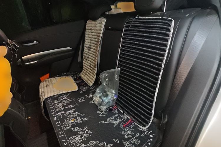 Used Cadillac XT4 2021 28T Two-Wheel Drive Luxury Version Left Rear Seat