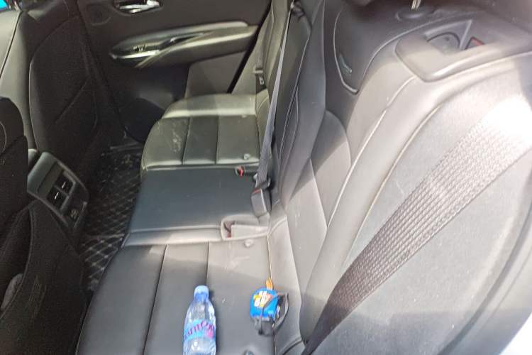 Used Cadillac XT4 2021 28T Two-Wheel Drive Leading Version Left Rear Seat