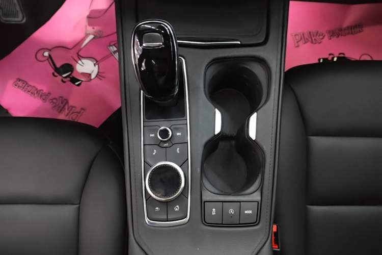 Used Cadillac XT4 2022 28T Two-Wheel-Drive Luxury Version Gear Lever
