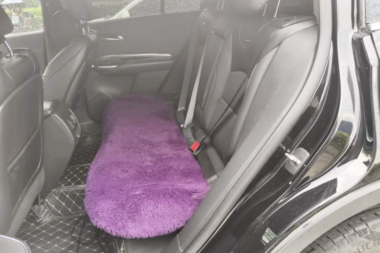Used Cadillac XT4 2022 28T Two-Wheel Drive Fashion Edition Left Rear Seat