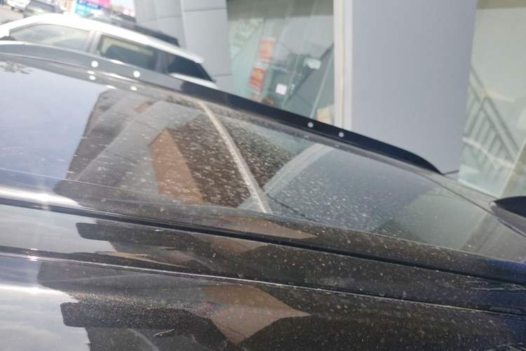 Used Cadillac XT4 2022 28T Four-Wheel Drive Prestige Version Roof