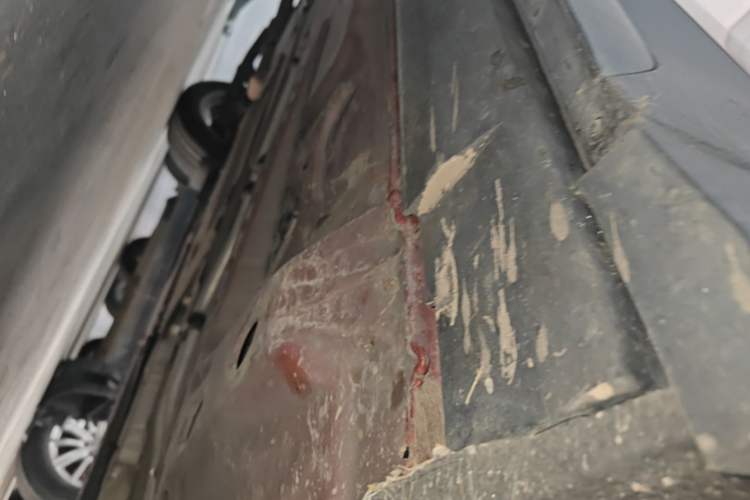 Used Cadillac XT4 2022 28T Two-Wheel Drive Fashion Edition Right Side Sill