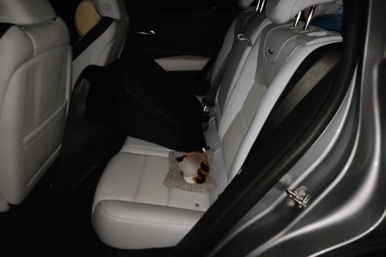 Used Cadillac XT4 2024 28T Two-Wheel-Drive Prestige Version Left Rear Seat