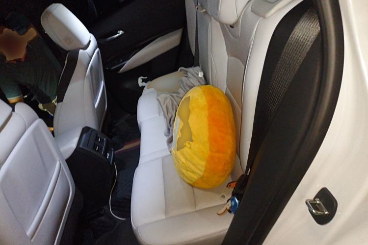 Used Cadillac XT4 2024 28T Two-Wheel-Drive Prestige Version Left Rear Seat