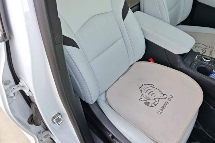 Used Cadillac XT4 2024 28T Two-Wheel-Drive Prestige Version Right Front Seat