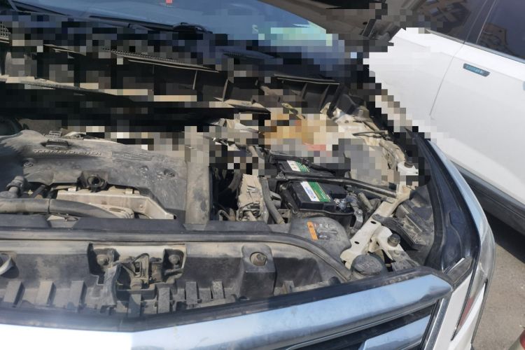 Used Cadillac XT5 2016 25T Luxury Model Engine Bay Left