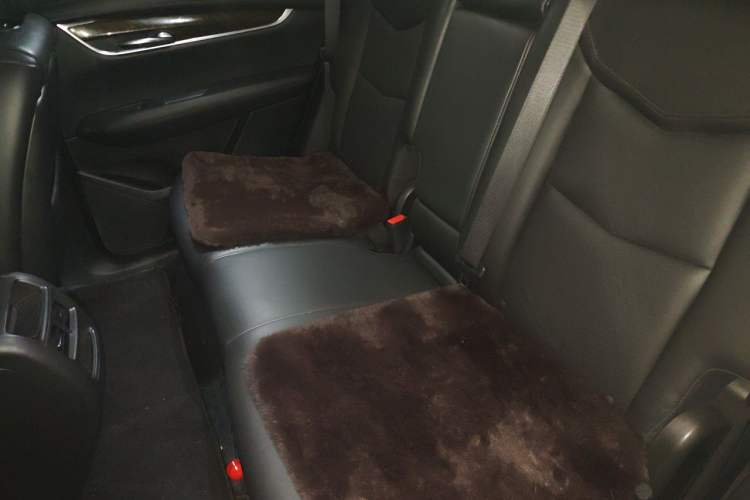 Used Cadillac XT5 2016 25T Luxury Model Left Rear Seat