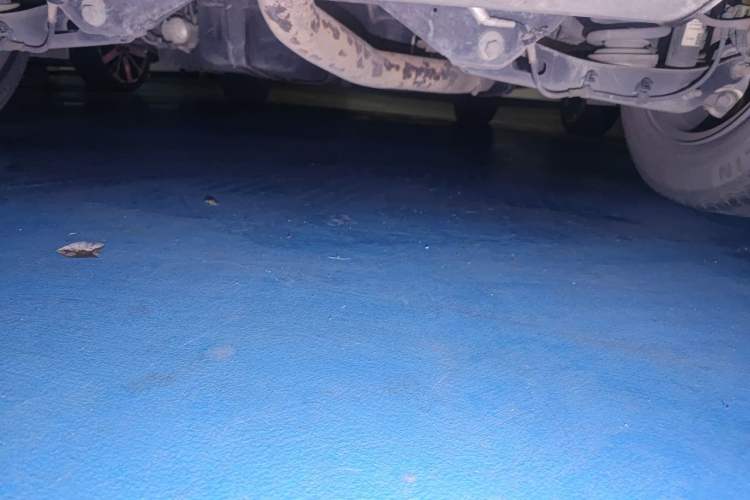 Used Cadillac XT5 2018 25T Luxury Model Chassis Rear