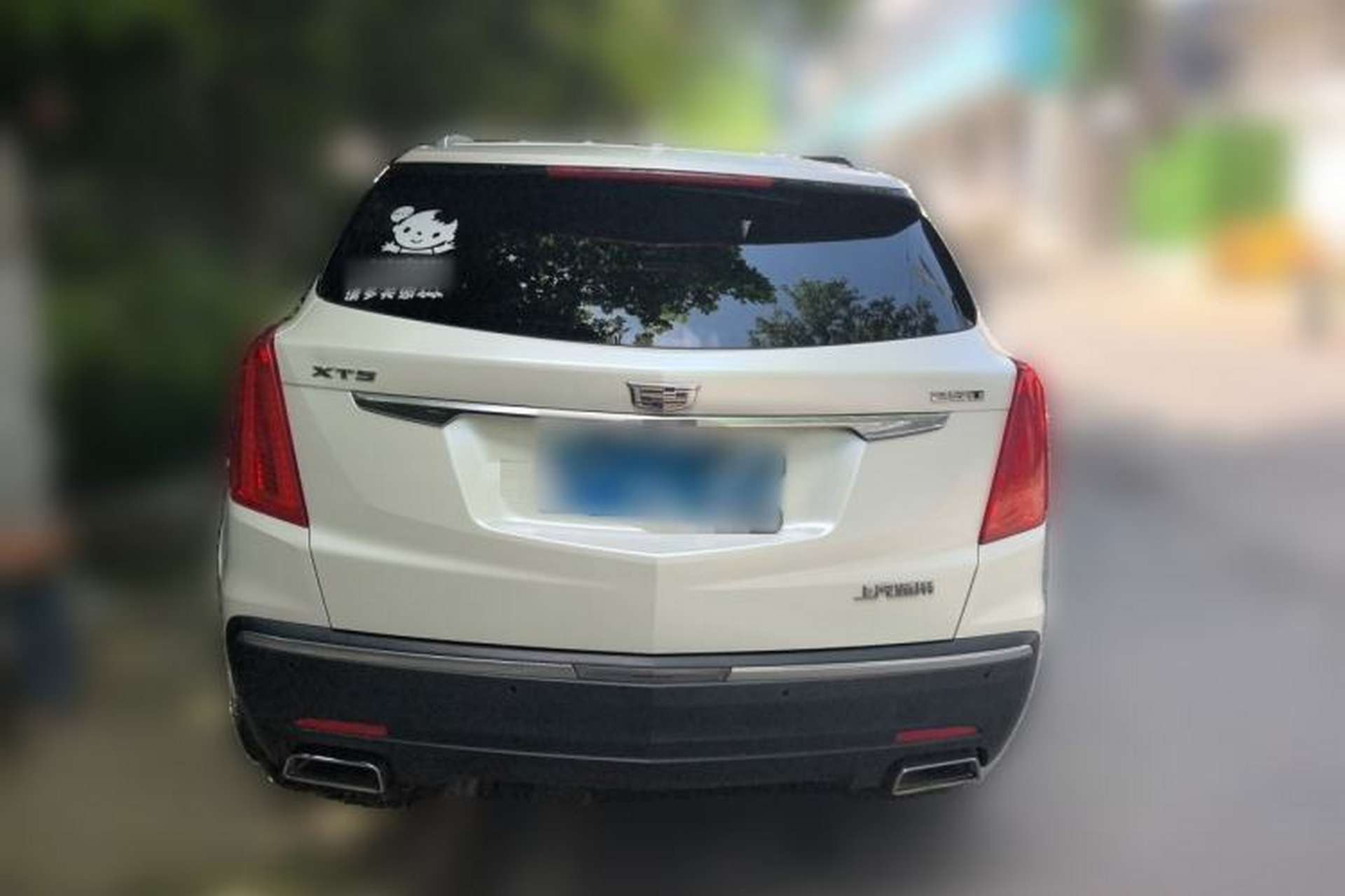 Used Cadillac XT5 2018 25T Luxury Model Rear