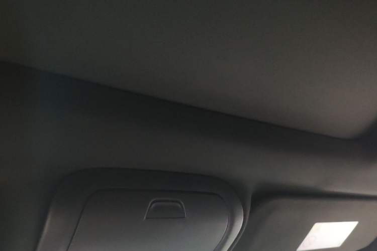 Used Cadillac XT5 2020 28T Luxury Version Headliner