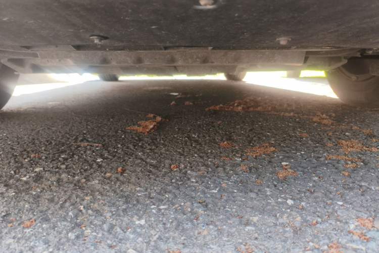 Used Cadillac XT5 2020 28T Luxury Version Chassis Front
