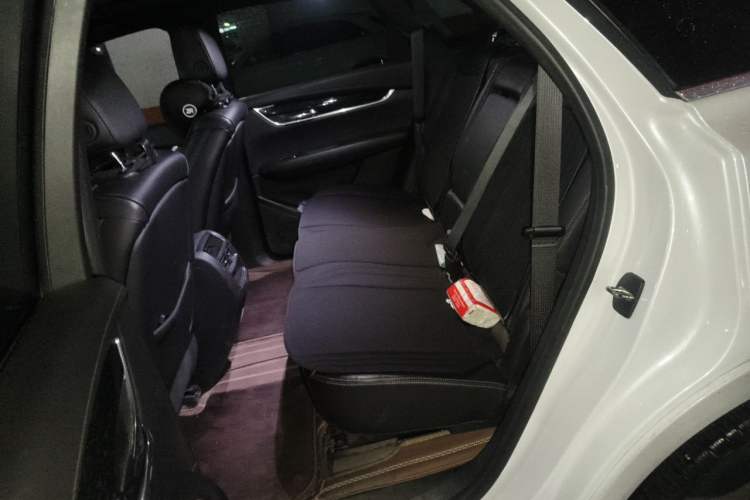Used Cadillac XT5 2020 28T Four-Wheel Drive Luxury Version Left Rear Seat