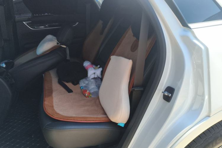 Used Cadillac XT5 2020 Revised Version 28T Luxury Edition Left Rear Seat