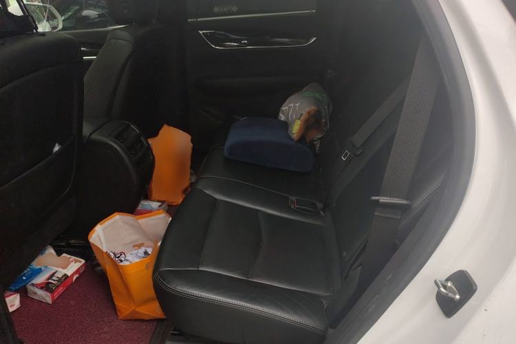 Used Cadillac XT5 2020 28T Four-Wheel Drive Luxury Version Left Rear Seat