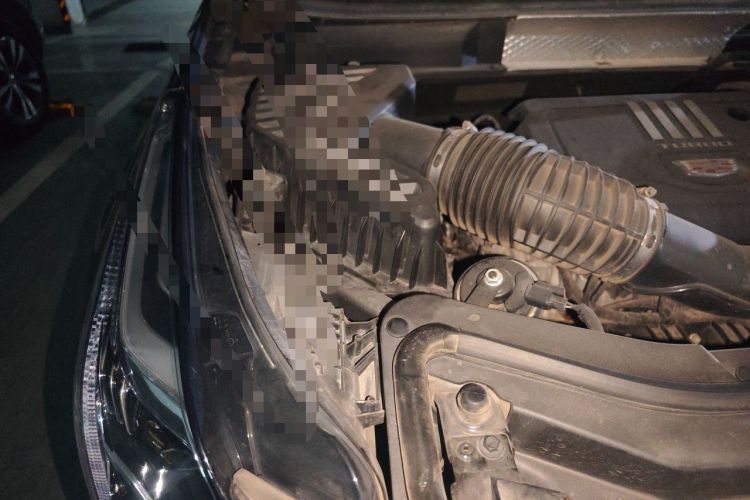 Used Cadillac XT5 2021 2.0T Four-Wheel Drive Luxury Version Engine Bay Right