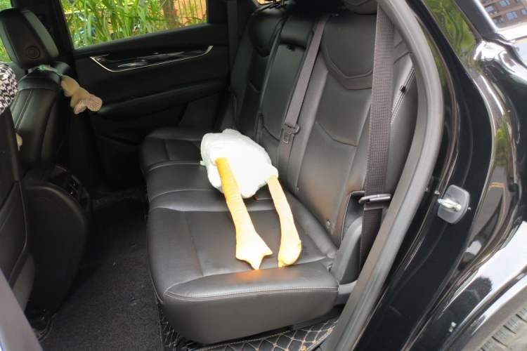 Used Cadillac XT5 2021 2.0T Two-Wheel Drive Luxury Version Left Rear Seat