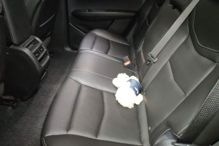 Used Cadillac XT5 2021 2.0T Four-Wheel Drive Luxury Version Left Rear Seat