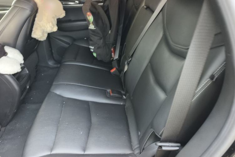 Used Cadillac XT5 2021 2.0T Four-Wheel Drive Luxury Version Left Rear Seat