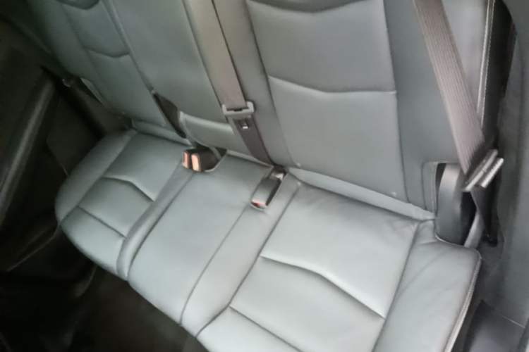 Used Cadillac XT5 2021 2.0T Four-Wheel Drive Premium Edition Left Rear Seat