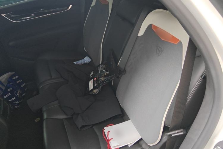 Used Cadillac XT5 2021 28T Luxury Model Left Rear Seat
