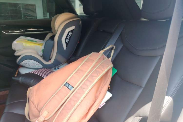 Used Cadillac XT5 2021 2.0T Two-Wheel Drive Luxury Version Left Rear Seat