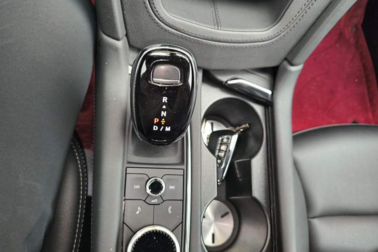 Used Cadillac XT5 2022 2.0T Two-Wheel Drive Luxury Version Gear Lever