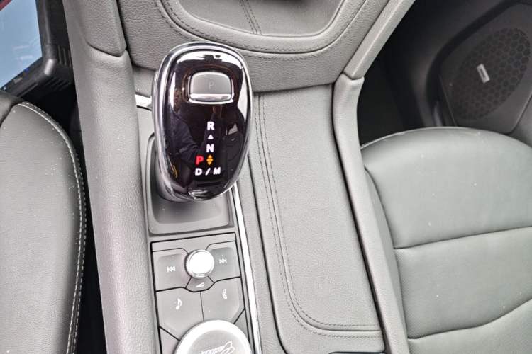 Used Cadillac XT5 2022 2.0T Four-Wheel Drive Luxury Version (Hummingbird Edition) Gear Lever