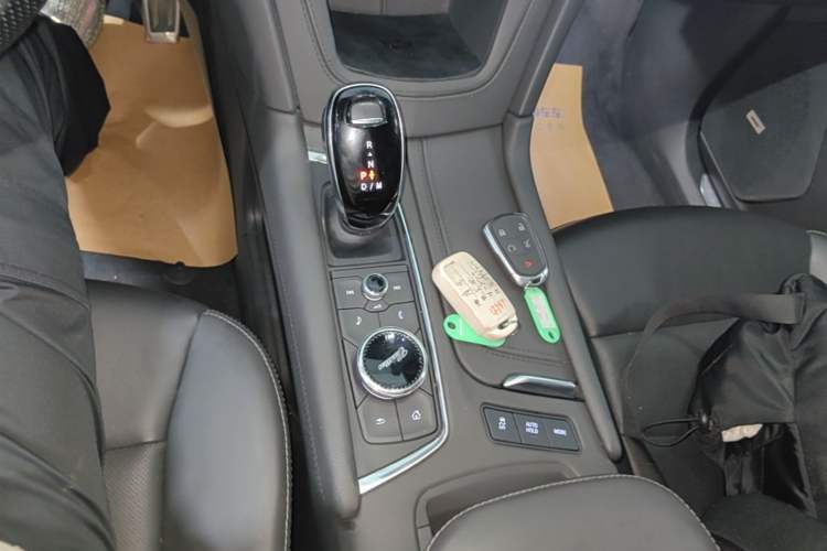 Used Cadillac XT5 2022 2.0T Four-Wheel Drive Luxury Version (Hummingbird Edition) Gear Lever