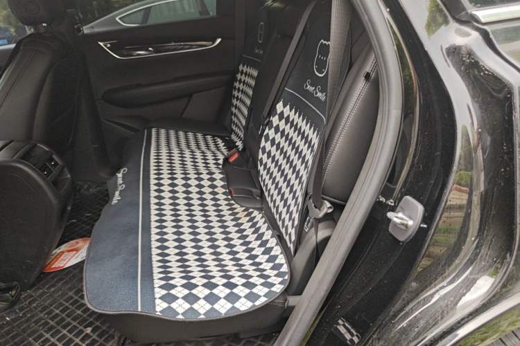 Used Cadillac XT5 2022 2.0T Two-Wheel Drive Luxury Version Left Rear Seat