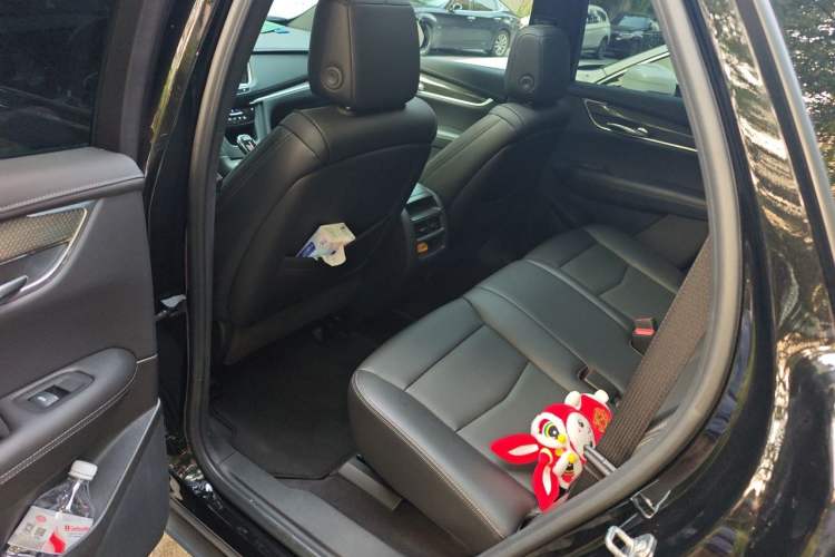 Used Cadillac XT5 2022 2.0T Four-Wheel Drive Luxury Version (Hummingbird Edition) Left Rear Seat