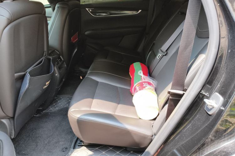 Used Cadillac XT5 2022 2.0T Four-Wheel Drive Luxury Version (Hummingbird Edition) Left Rear Seat