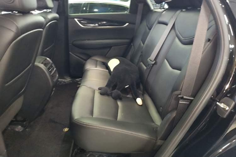 Used Cadillac XT5 2022 2.0T Two-Wheel Drive Luxury Version Left Rear Seat