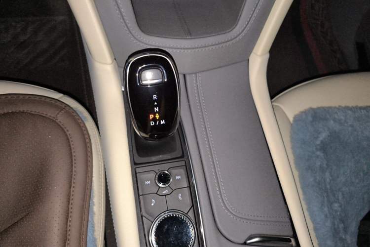Used Cadillac XT5 2022 2.0T Four-Wheel Drive Luxury Version (Hummingbird Edition) Gear Lever