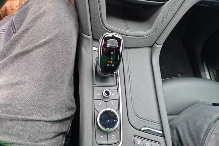 Used Cadillac XT5 2022 2.0T Four-Wheel Drive Luxury Version (Hummingbird Edition) Gear Lever