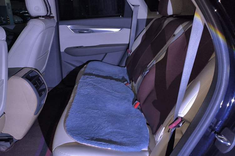Used Cadillac XT5 2022 2.0T Four-Wheel Drive Luxury Version (Hummingbird Edition) Left Rear Seat