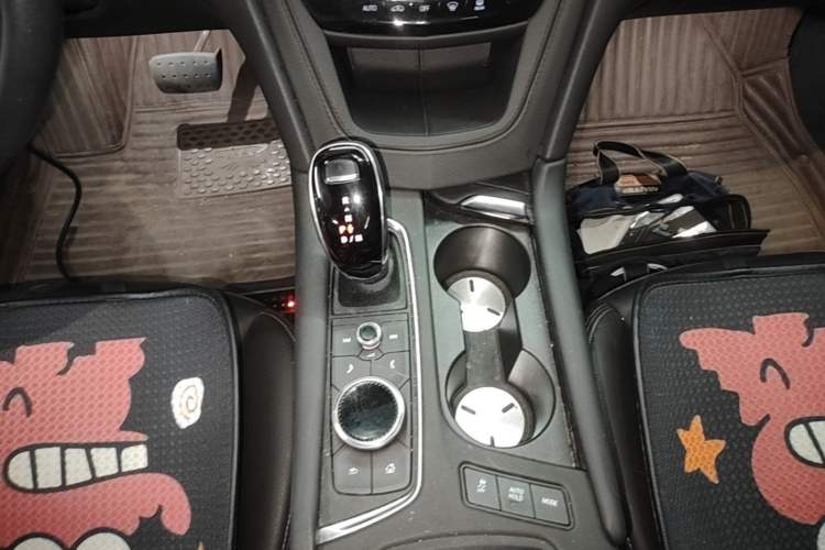 Used Cadillac XT5 2022 2.0T Two-Wheel Drive Luxury Version Gear Lever
