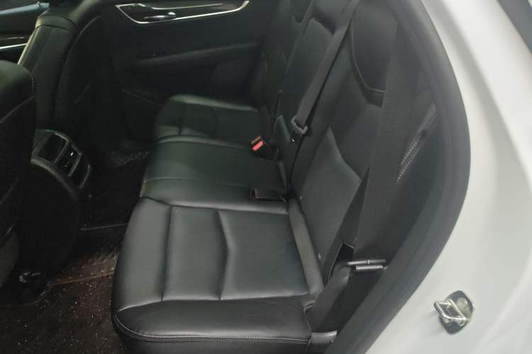 Used Cadillac XT5 2022 2.0T Four-Wheel Drive Luxury Version (Hummingbird Edition) Left Rear Seat