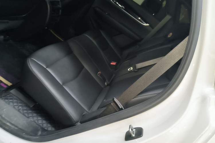 Used Cadillac XT5 2022 2.0T Two-Wheel Drive Luxury Version Left Rear Seat