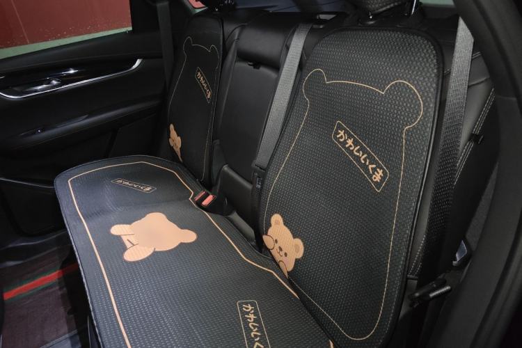 Used Cadillac XT5 2023 2.0T Two-Wheel-Drive Fashion Edition Left Rear Seat