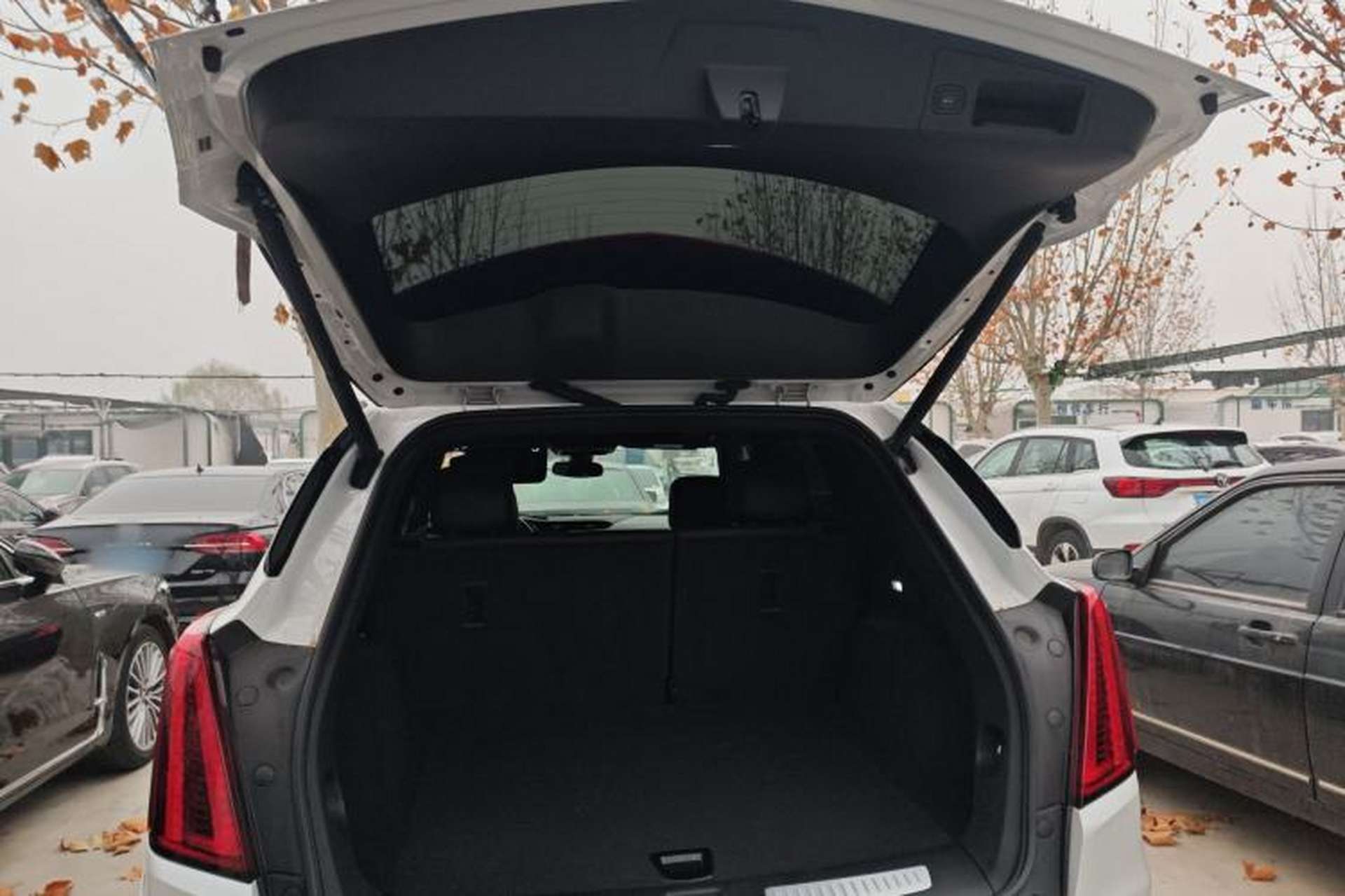 Used Cadillac XT5 2023 2.0T Two-Wheel-Drive Fashion Edition Trunk